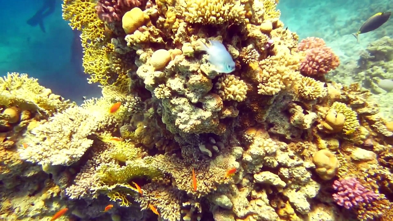 Hurghada_Part1