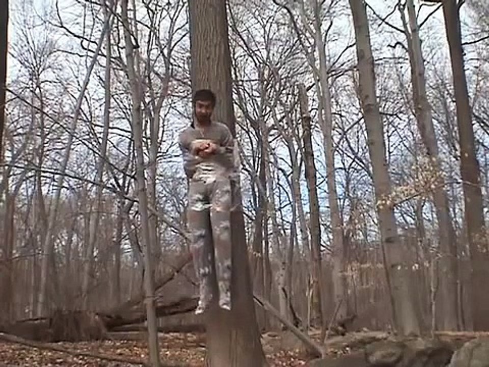 taped to a tree