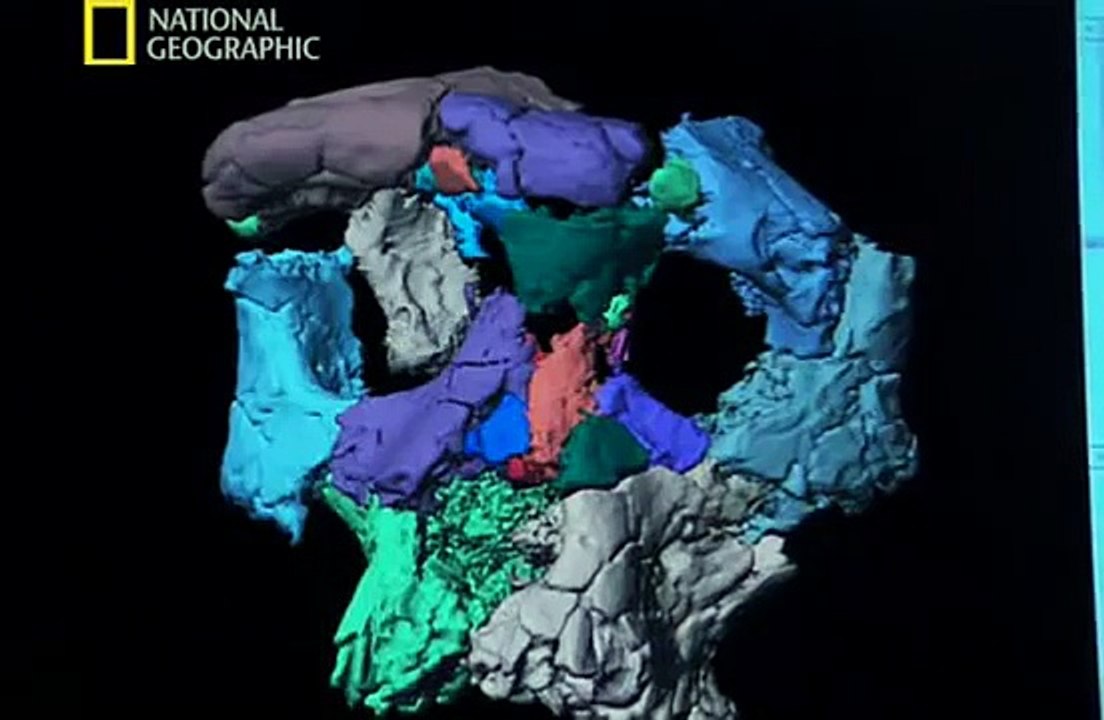 National Geographic - Ape Man : Search for the First Human (2005)