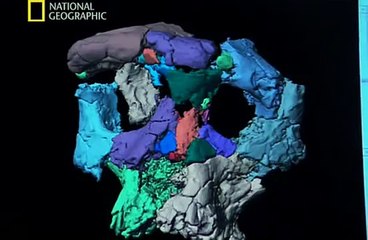 National Geographic - Ape Man : Search for the First Human (2005)