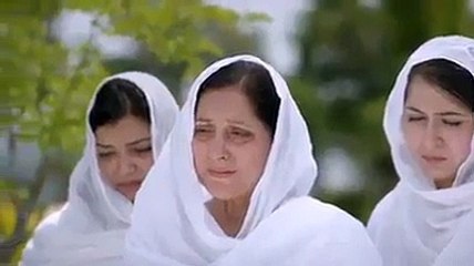 JAN .................................BEAUTIFUL MILI NAGHMA