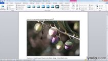 MS Word  Positioning, sizing, and cropping graphics