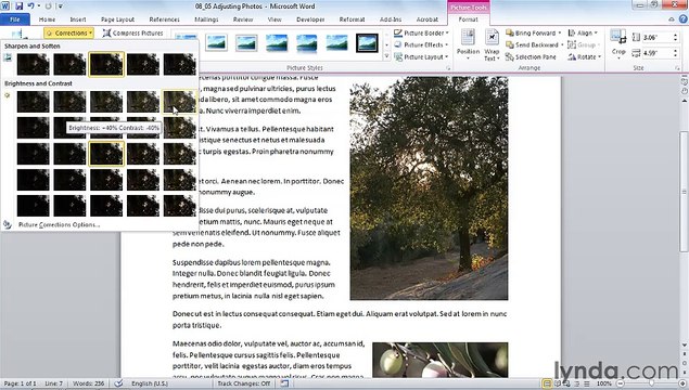MS Word Adjusting brightness, contrast, and sharpness of photos