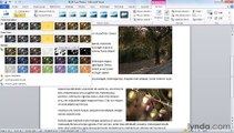 MS Word  Applying special effects to graphics