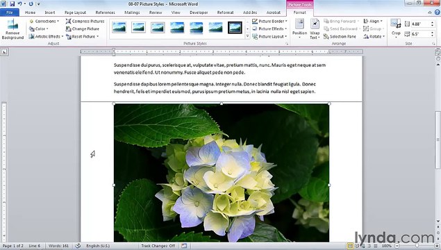 MS Word Applying styles to graphics