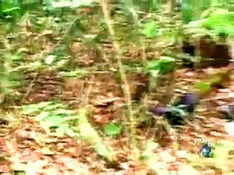 Voo 1907 - Imagens Exclusivas