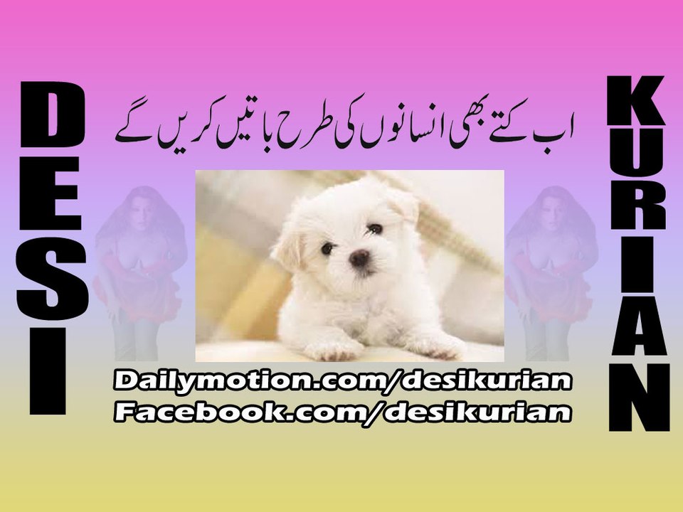 Dog talks With Human