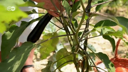 Bulgarien: Griechenlands "armer Nachbar" | Made in Germany