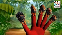 Tiger Finger Family Rhymes Cartoon Rhymes | 3D Tiger Children Nursery Rhymes