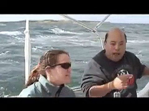 Sailing A Telstar 28 Trimaran on Buzzards Bay