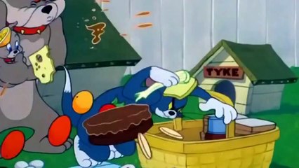 Tom and Jerry Cartoon - Pup on a Picnic