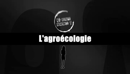 C'est quoi l'agroecologie - TerreTv