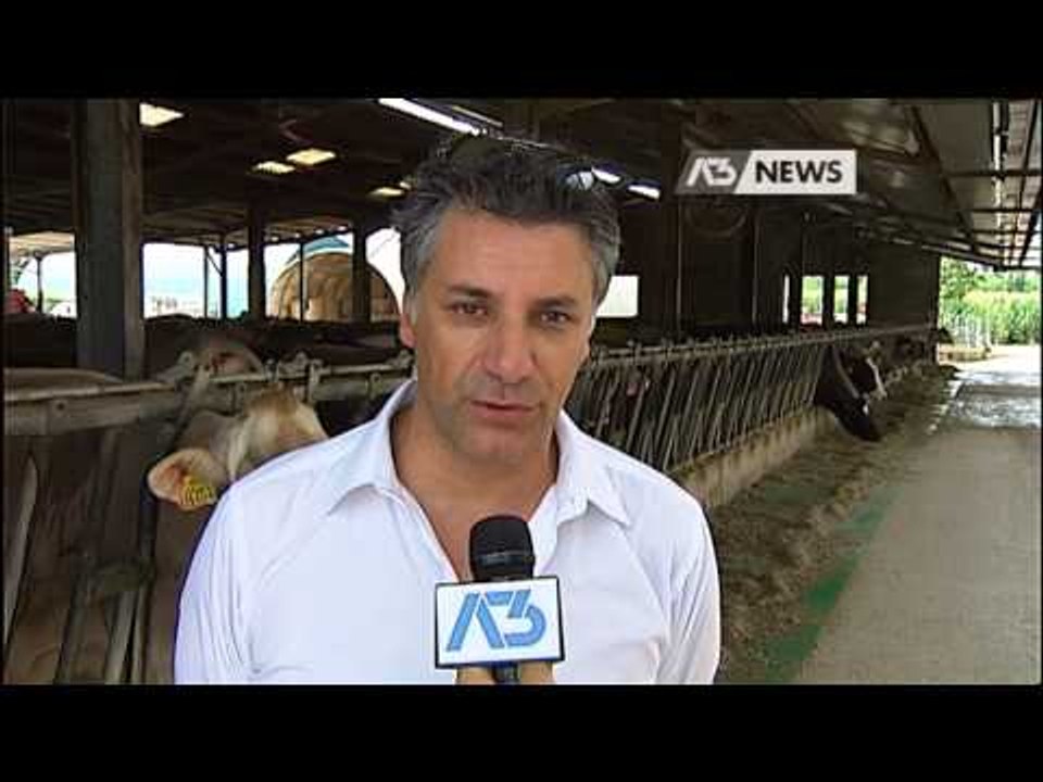 ALLEVATORI IN PIAZZA, NO AL FORMAGGIO SENZA LATTE