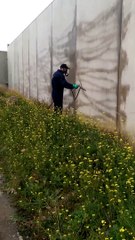 Ants At Commercial Pest