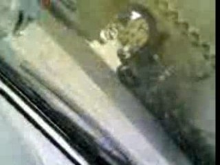 Dopo matrimonio verso San Miniato !!