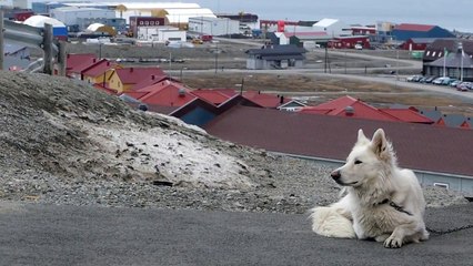 HD video footage of Longyearbyen, Svalbard, Spitsbergen & Barentsburg