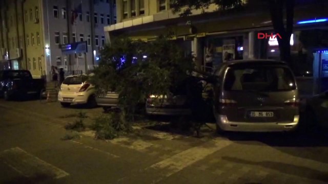 Kırılan ağaç dalı 3 aracın üstüne devrildi