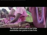 Global Value Chain: Phytotrade - (sous-titres français)   Phytotrade Africa, South Africa