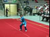 daoshu Wang Anfu champ euro wushu 06