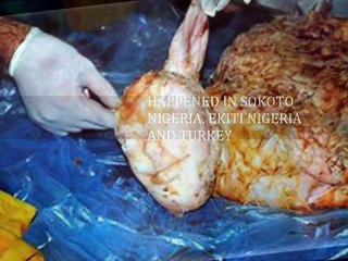 ANIMAL GAVE BIRTH TO HUMAN LIKE CREATURE