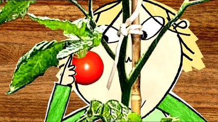 Charlie and Lola.S02E10.I Really Wonder What Plant I'm Growing