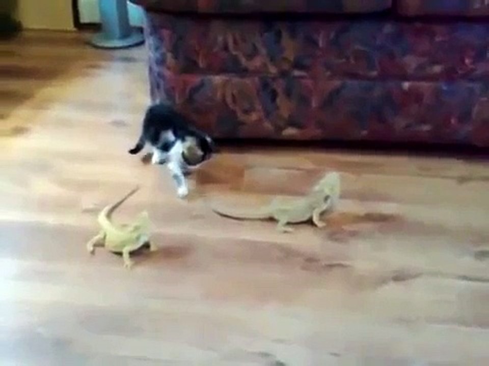 Funny Videos -Dubmash