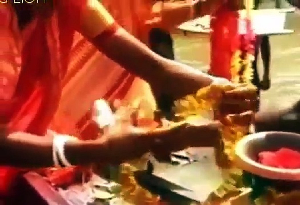 Animals Documentaries - Wildlife Animal Documentary - Tigers Revenge National Geographic [Full Episo