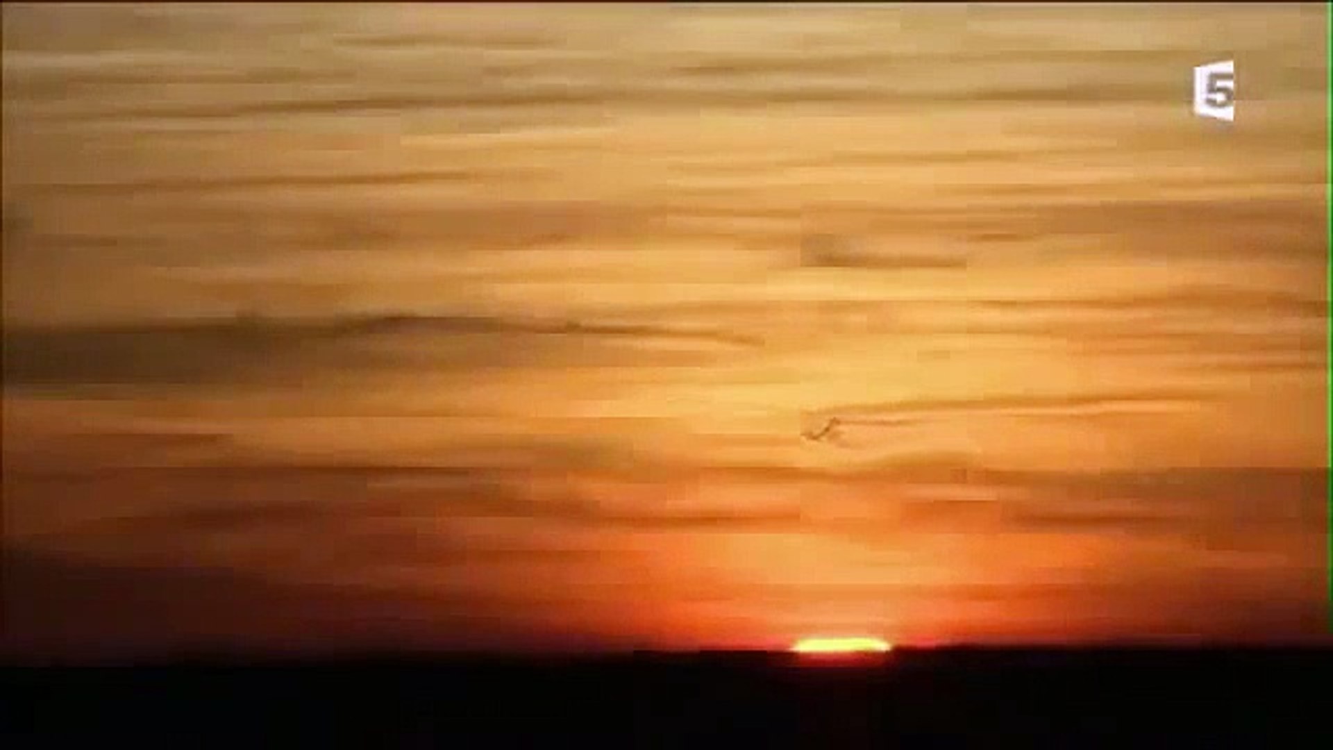 ⁣wild life Documentary Animal Attack Planet Wildlife Animals Fighting 360p