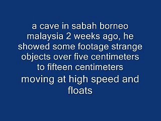 Strange Creatures In Cave