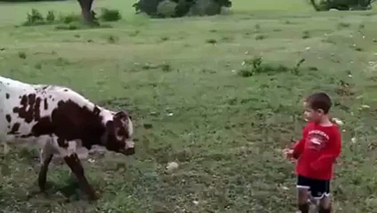 children and cows
