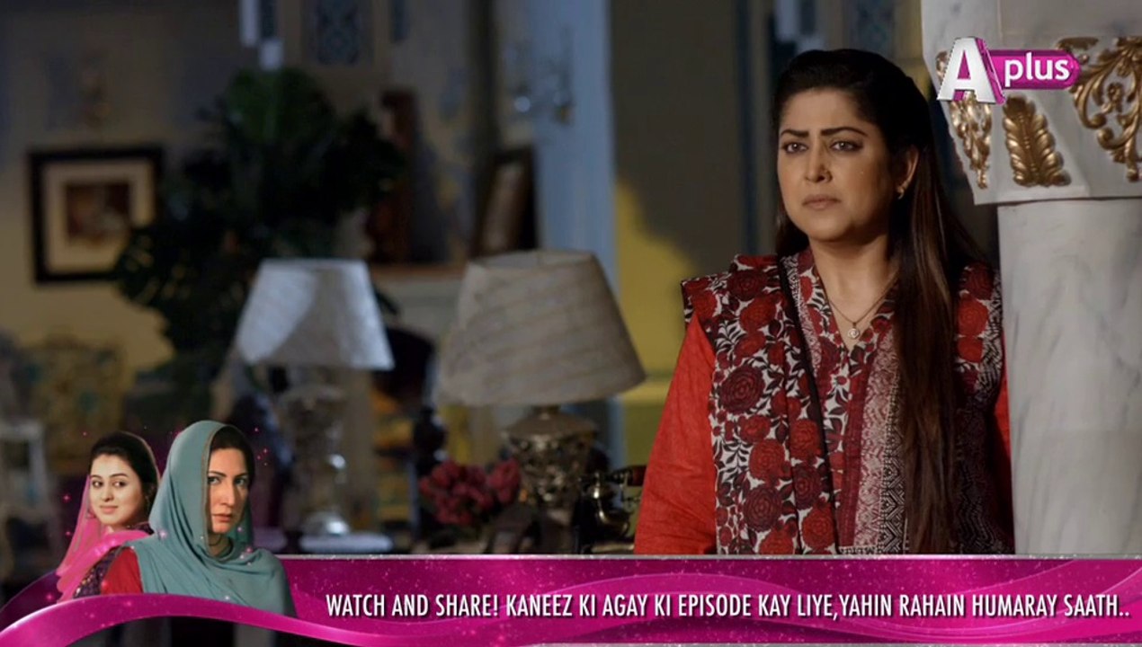 Kaneez Episode 88