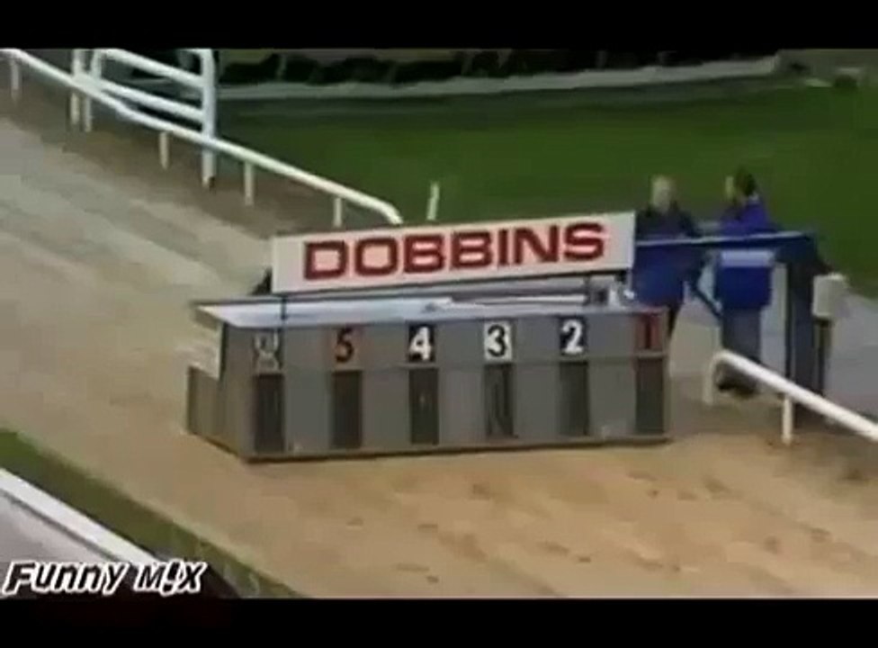 Funny Animals Dog trying to cheat  in race