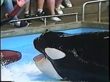 Orca Katina & Former Trainer Jeffrey Ventre Share a Kiss