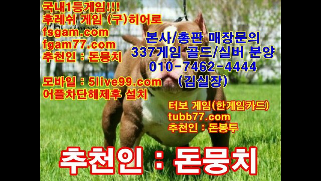 본사총판문의 oio-7462-4444,후레쉬게임,히어로게임,바즐사,바둑이,후레쉬,히어로,실게임,현게임,원탁게임,심의게임,땡큐게임,허니게임,바둑이게임,맞고,맞고게임,올림픽게임,올림픽,터보게임,터보,337,1