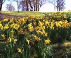 Edinburgh Botanic Gardens