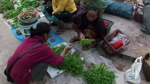 Muang Sing morning market LAOS