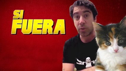 Si los gatos fueran capaces de hablar