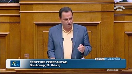 Ομιλία Γεωργαντά για την Ιθαγένεια