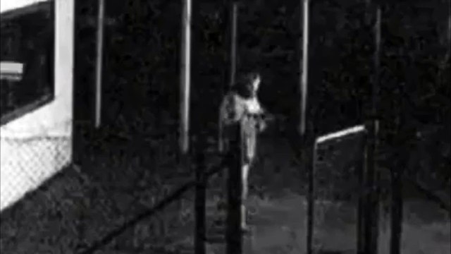 Самое идиотское ограбление!