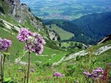 Bayerische Alpen - Auf der Stepberg Alm - Volksmusik