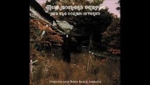 Acid Mothers Temple & The Cosmic Inferno - Starless and Bible Black Sabbath