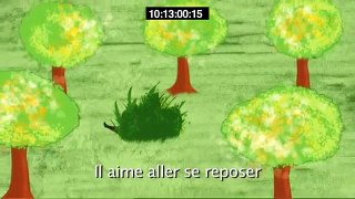 UN DROLE D'ANIMAL - LE DIABLE DE TASMANIE