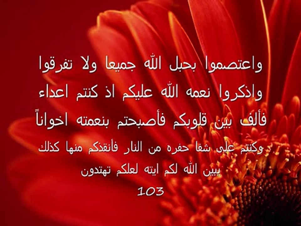 سوره ال عمران من ايه 102 الى 110