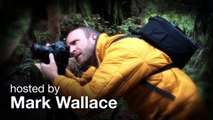 Light Meter Settings Ep 108: Exploring Photography with Mark Wallace: Adorama Photography TV