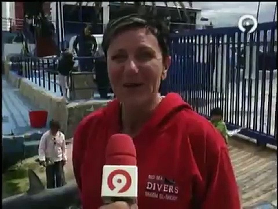 Canal Nou Noticias - Tiburon en Calpe