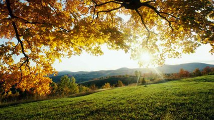 Abraham Hicks - Chemotherapied to dementia