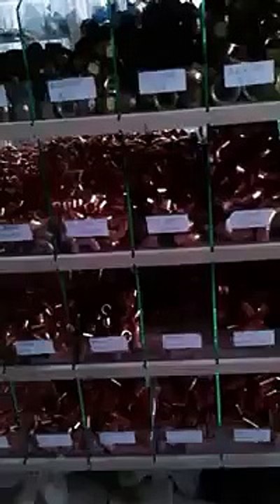 ETİMESGUT BOSCH-SİEMENS SERVİSİ(0312)325 68 68