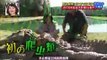 Engsub Funny Japanese Pranks  Humans vs Crocodile